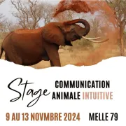 Stage Communication Animale Intuitive