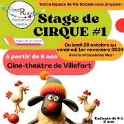 Stage De Cirque #1