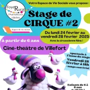 Stage De Cirque #2