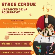 Stage de cirque à l\'AFCA