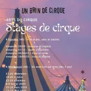 Stage de cirque aérien