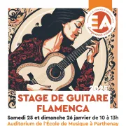 Stage de guitare Flamenca