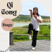 Stage de Qi Gong