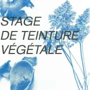 Stage de teinture végétale aux Ateliers des Arques