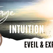 Stage Intuition : Éveil & Expansion