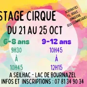 Stages de cirque