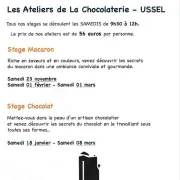 Stages gourmands Chocolat