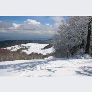 GRAND BALLON LA PLAGE