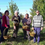 Teinture végétale et vannerie de noisetier