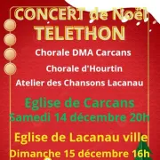 Téléthon : Concert de noël