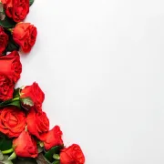 TÉLÉTHON : Vente de roses