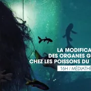 Théâtre-conférence | La modification des organes génitaux chez les poissons du Lac de Thoune