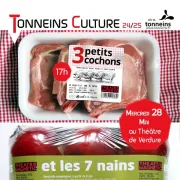 Théâtre d'objets -Et les 7 nains