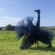 Théâtre musical pour voix et tuba : Bocca