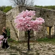 Théâtre : R.I.P. Cerisaie