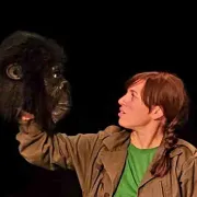 Théâtre: Tant pis pour King Kong ! - Limoges