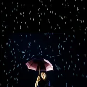 Théâtre visuel, danse et arts numériques - Acqua Alta - Noir d'Encre