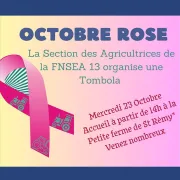 Tombola - Octobre Rose - FNSEA 13