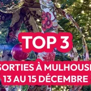 Top 3 des idées sorties à Mulhouse ce week-end : shopping, concerts et artisanat !