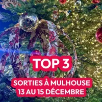 Top 3 des idées sorties à Mulhouse ce week-end : shopping, concerts et artisanat ! DR