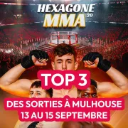 Top 3 des sorties à Mulhouse : 13 au 15 septembre 2024