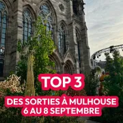 Top 3 des sorties à Mulhouse : 6 au 8 septembre 2024