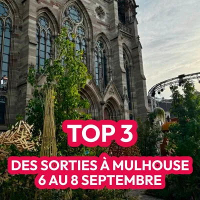 Top 3 des sorties du week-end à Mulhouse 🐾