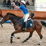 Tournoi de Horse-ball