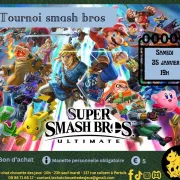 Tournoi Smash Bros au chat chouette