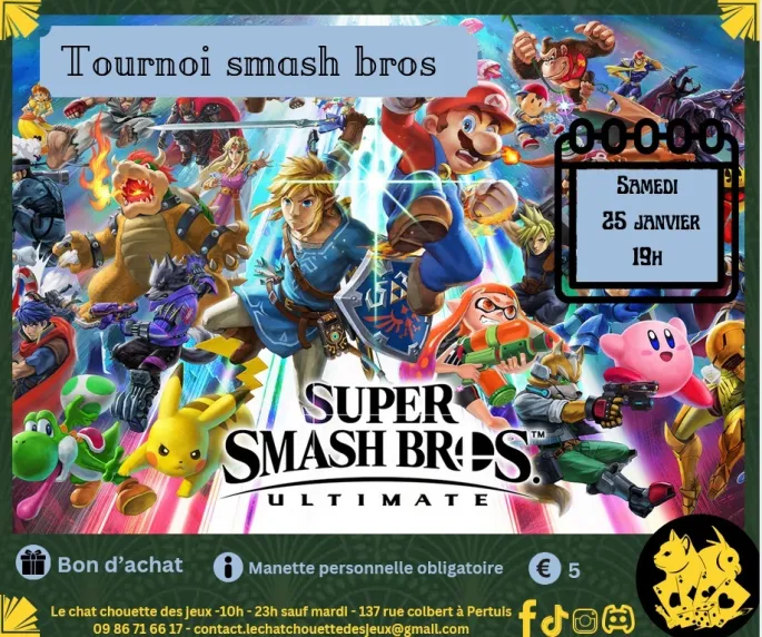 Tournoi Smash Bros au chat chouette