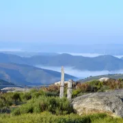 Trail Des Cèpes 2024