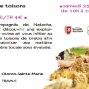 Tri de toisons - Sortie CPIE