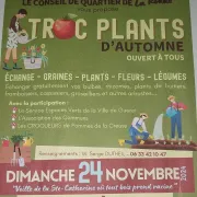 Troc plants d'automne