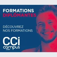 Trouvez votre alternance au CCI Campus! DR