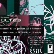 Tumultes - Exposition Des étudiants De L'ésal épinal