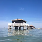 UBA Tour de l\'île aux oiseaux