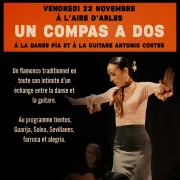 “Un compás a dos” – Flamenco puro