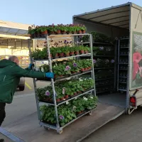 La production de la pépinière est envoyée à Lörrach et Rheinfelden DR