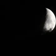 Un soir de plein lune sur la prairie de l\'étang Massé