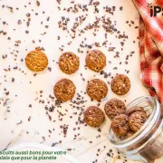 Une Degustation De Biscuit Pleine De Bon Sens