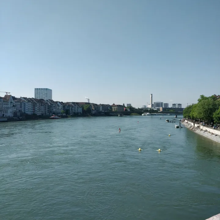 Une tête dans le Rhin à Bâle !