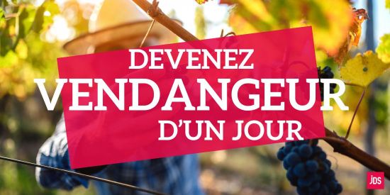 Participez aux vendanges et dégustez le vin nouveau