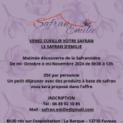 Venez cueillir votre safran!