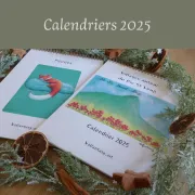 Vente De Calendriers 2025 Valfantasy