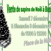 Vente De Sapins De Noël