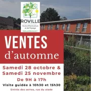 Ventes D'Automne