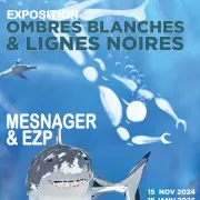 Vernissage de l'exposition Ombres blanches & lignes noires par Mesnager et EZP