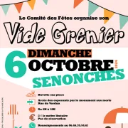 Vide grenier