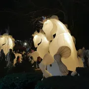 Village de Noël Marché artisanal et gourmand