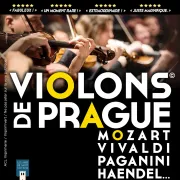 Violons de Prague